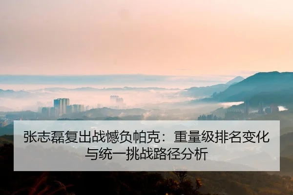 zhang-zhi-lei-fu-chu-zhan-han-fu-pa-ke-zhong-liang-ji-pai-ming-bian-hua-yu-tong-yi-tiao-zhan-lu-jing-fen-xi-2-159.jpg