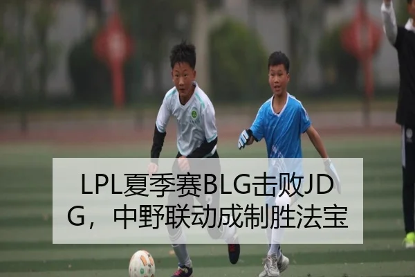 LPL夏季赛BLG击败JDG，中野联动成制胜法宝