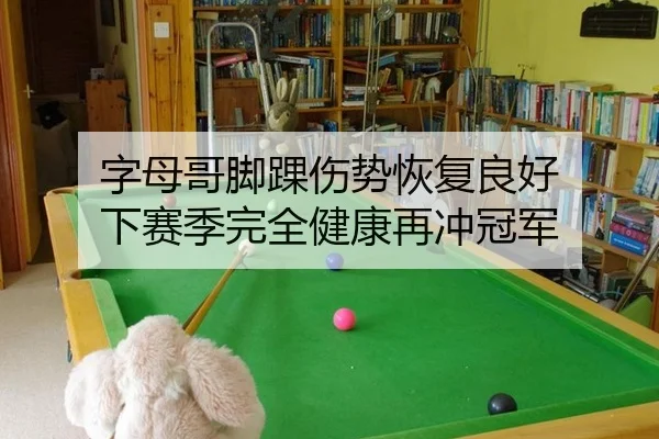 字母哥脚踝伤势恢复良好 下赛季完全健康再冲冠军