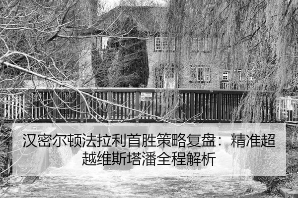han-mi-er-dun-fa-la-li-shou-sheng-ce-lve-fu-pan-jing-zhun-chao-yue-wei-si-ta-pan-quan-cheng-jie-xi-3-115.jpg