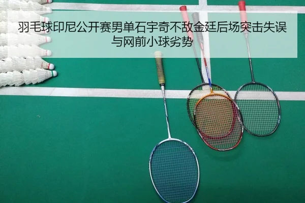 yu-mao-qiu-yin-ni-gong-kai-sai-nan-dan-shi-yu-qi-bu-di-jin-ting-hou-chang-tu-ji-shi-wu-yu-wang-qian-xiao-qiu-lie-shi-2-636.jpg